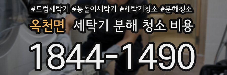 옥천면 세탁기 분해 청소 비용