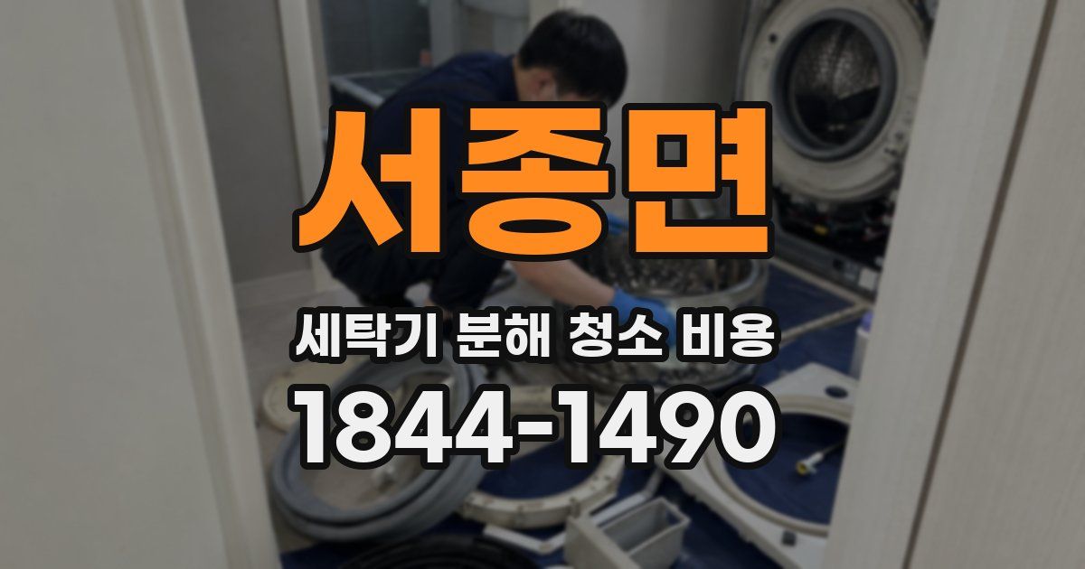 서종면 세탁기 분해 청소 비용