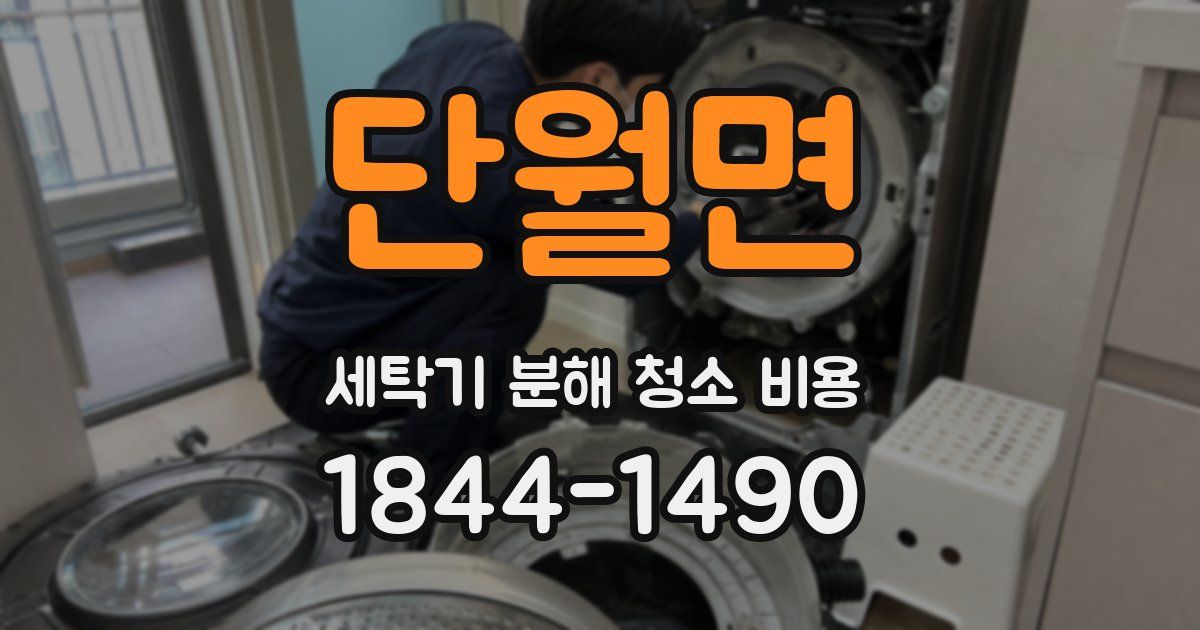 단월면 세탁기 분해 청소 비용