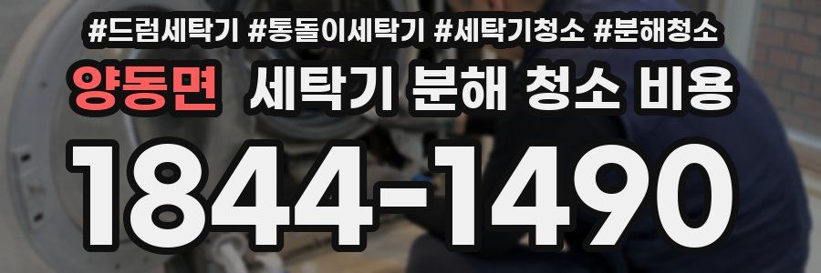 양동면 세탁기 분해 청소 비용