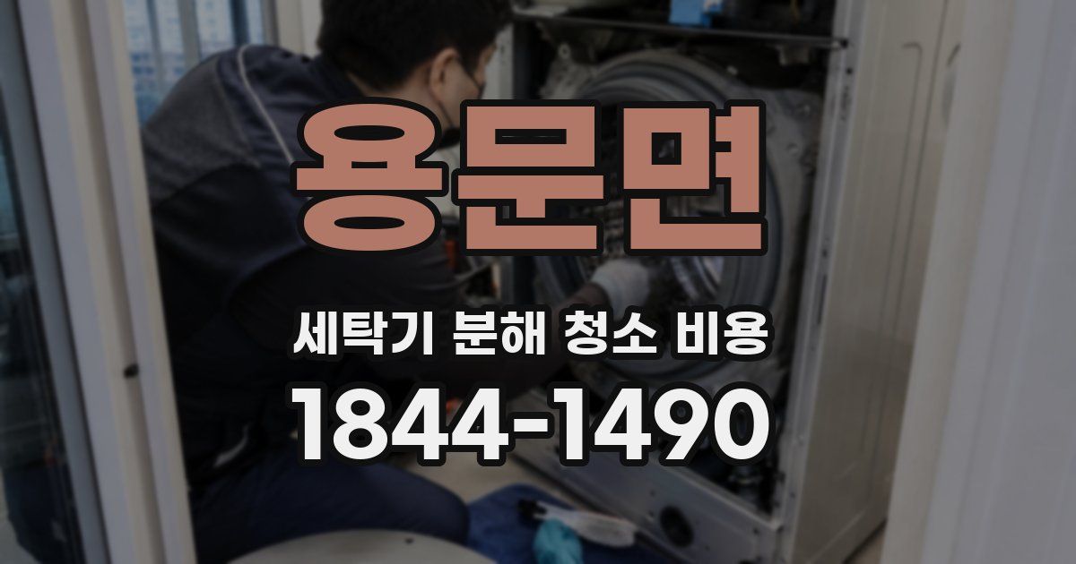 용문면 세탁기 분해 청소 비용