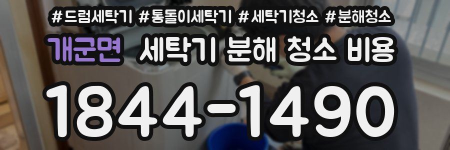 개군면 세탁기 분해 청소 비용