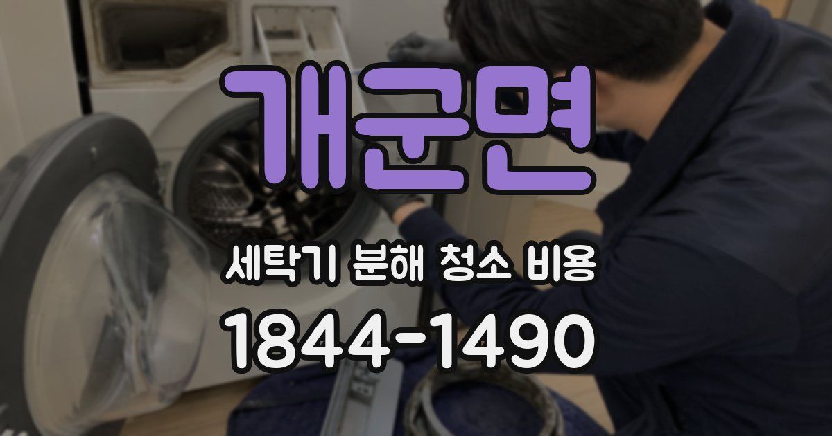 개군면 세탁기 분해 청소 비용
