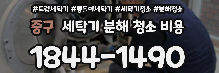 중구 세탁기 분해 청소 비용