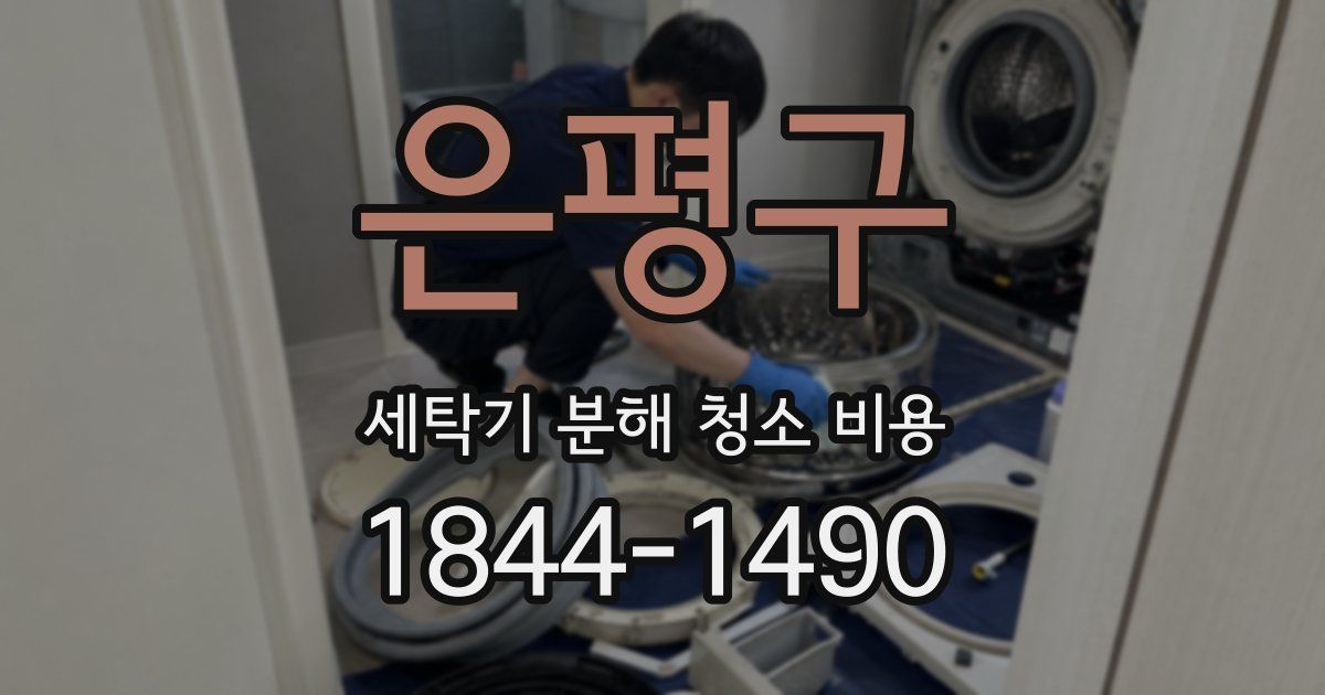 은평구 세탁기 분해 청소 비용