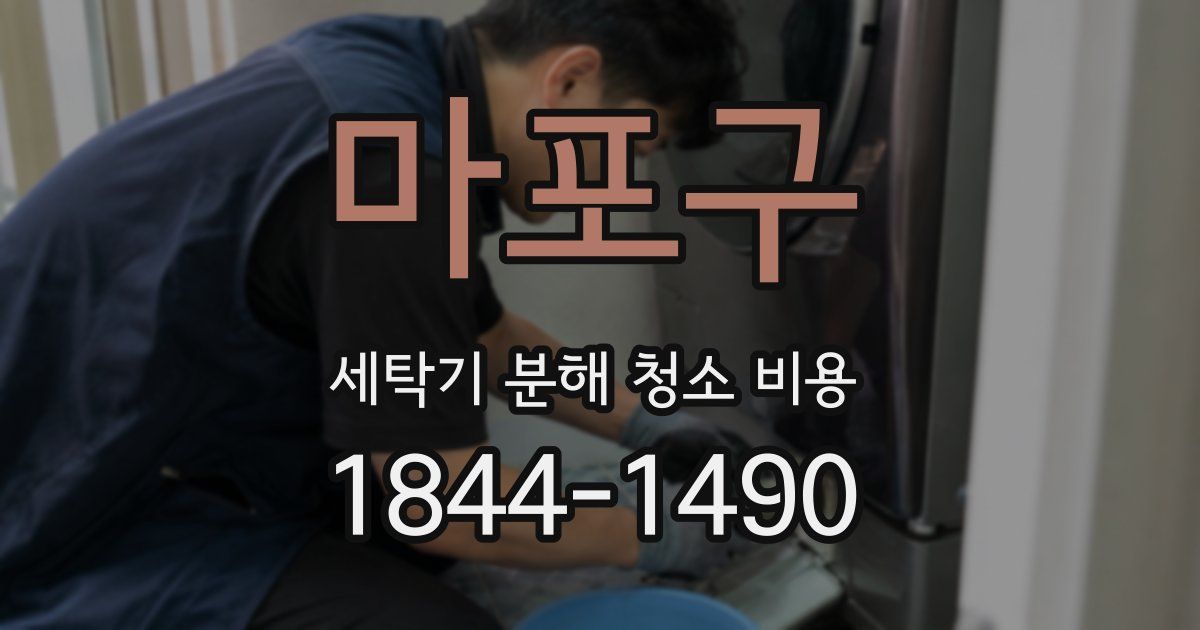 마포구 세탁기 분해 청소 비용