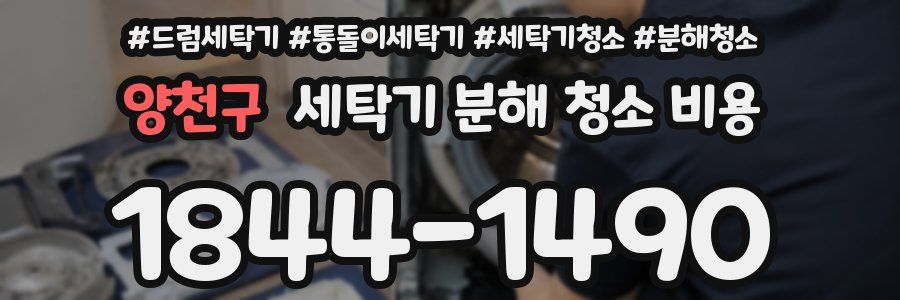 양천구 세탁기 분해 청소 비용