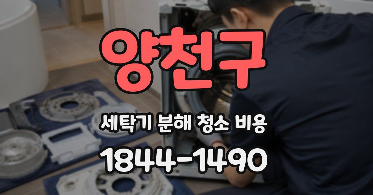 양천구 세탁기 분해 청소 비용