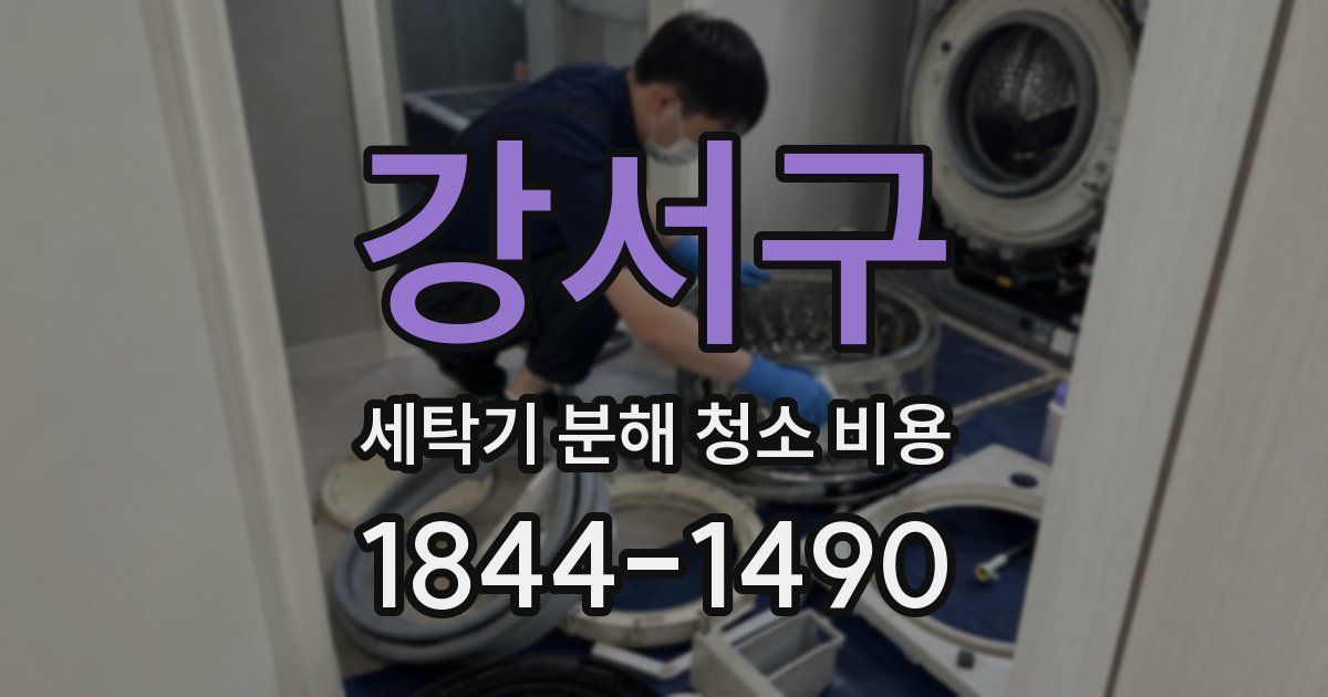 강서구 세탁기 분해 청소 비용