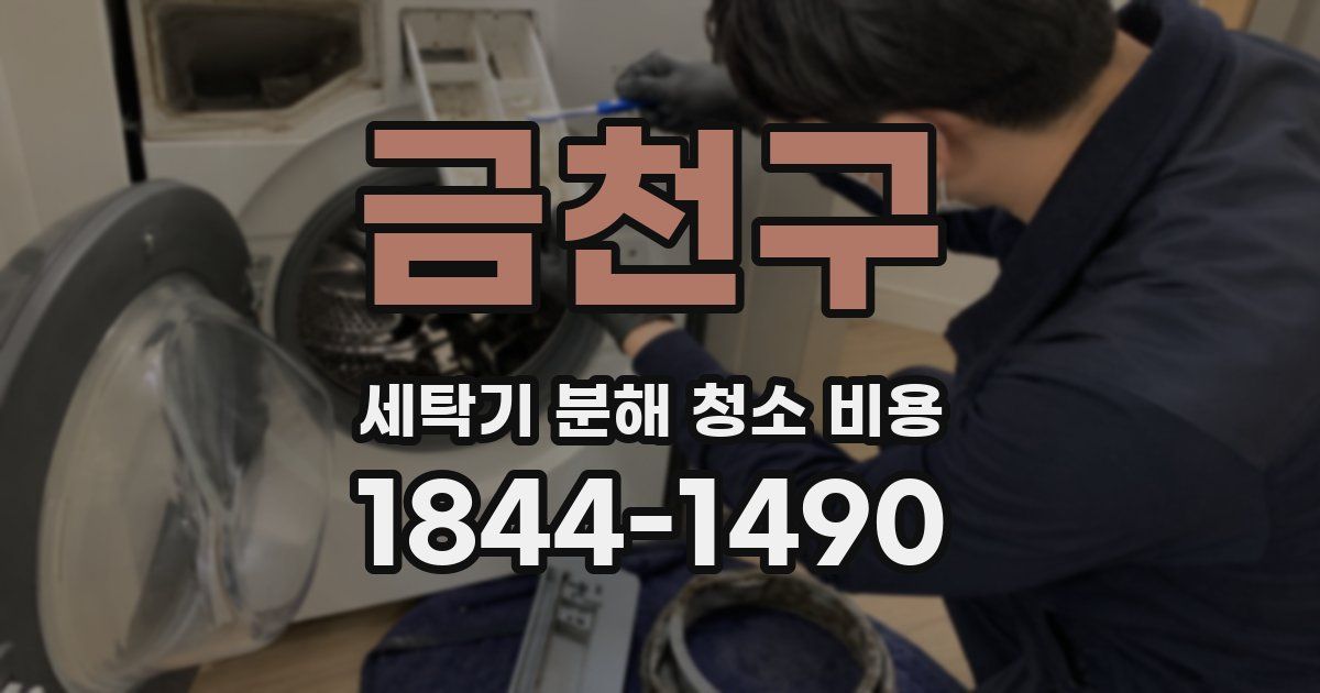 금천구 세탁기 분해 청소 비용