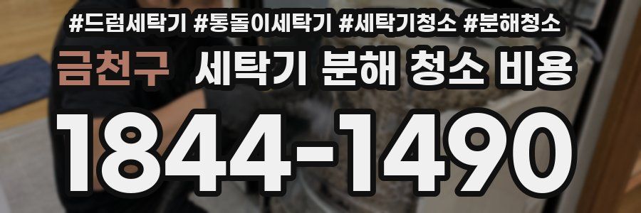 금천구 세탁기 분해 청소 비용