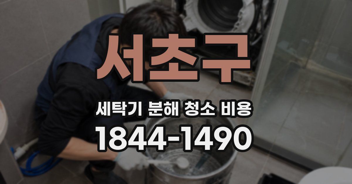서초구 세탁기 분해 청소 비용