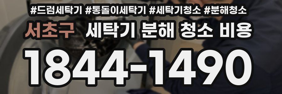 서초구 세탁기 분해 청소 비용