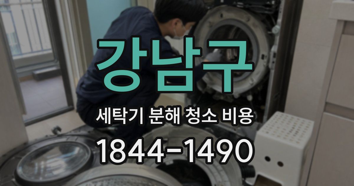 강남구 세탁기 분해 청소 비용