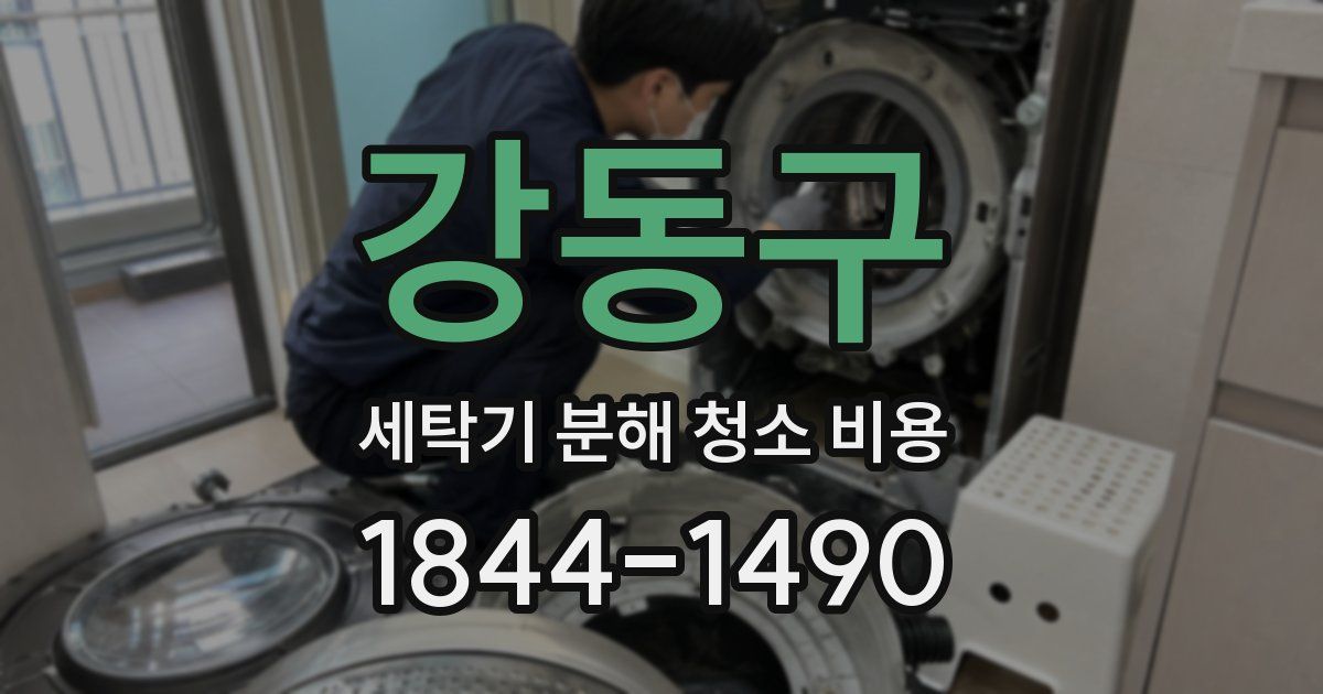 강동구 세탁기 분해 청소 비용