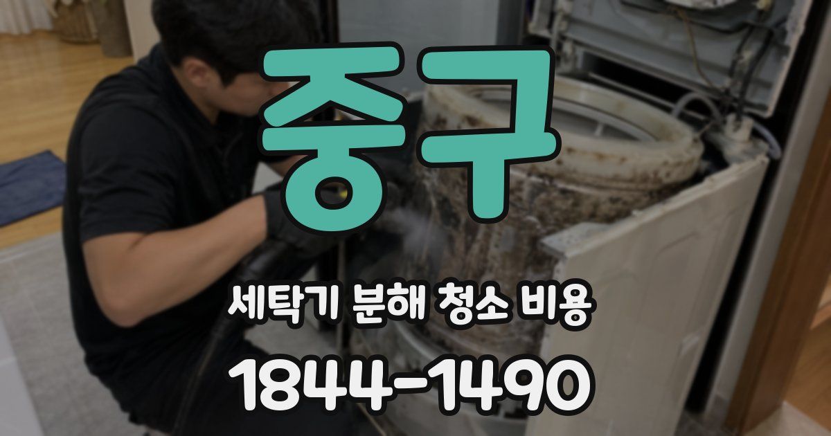 중구 세탁기 분해 청소 비용