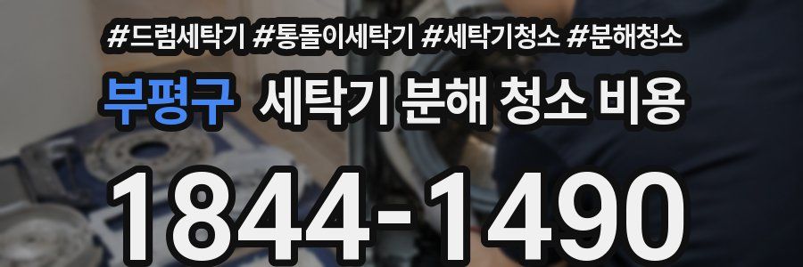 부평구 세탁기 분해 청소 비용