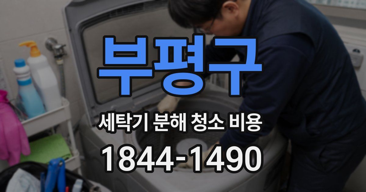 부평구 세탁기 분해 청소 비용