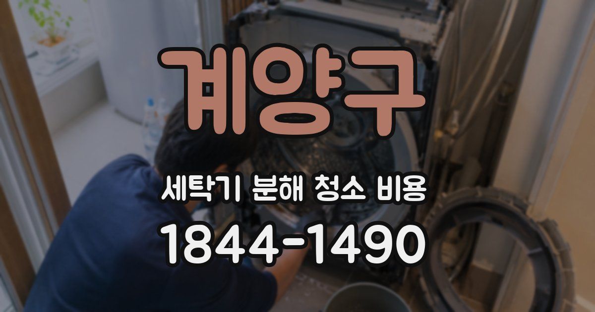 계양구 세탁기 분해 청소 비용