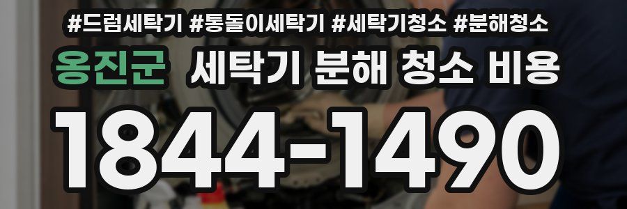 옹진군 세탁기 분해 청소 비용