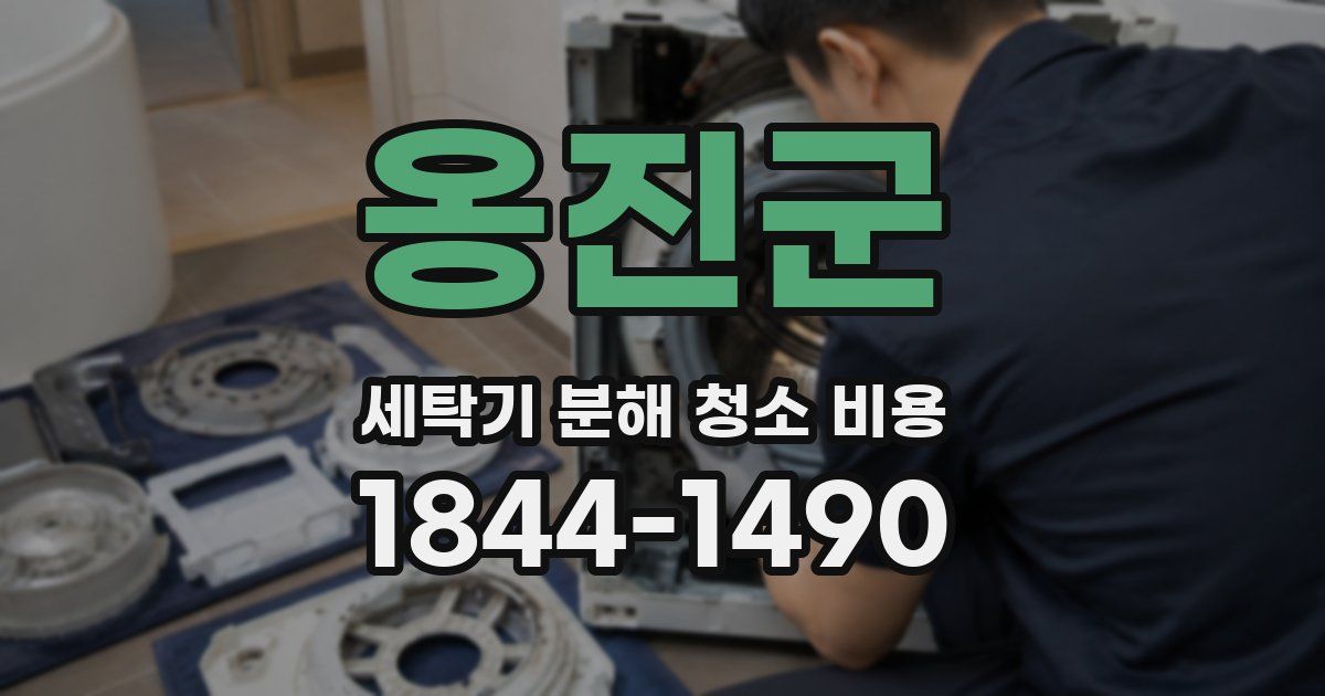 옹진군 세탁기 분해 청소 비용