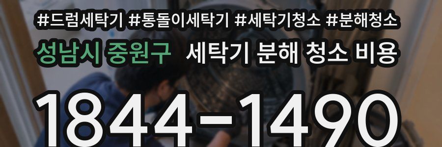 성남시 중원구 세탁기 분해 청소 비용