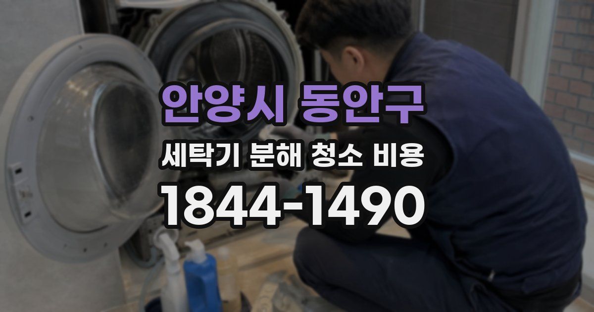 안양시 동안구 세탁기 분해 청소 비용