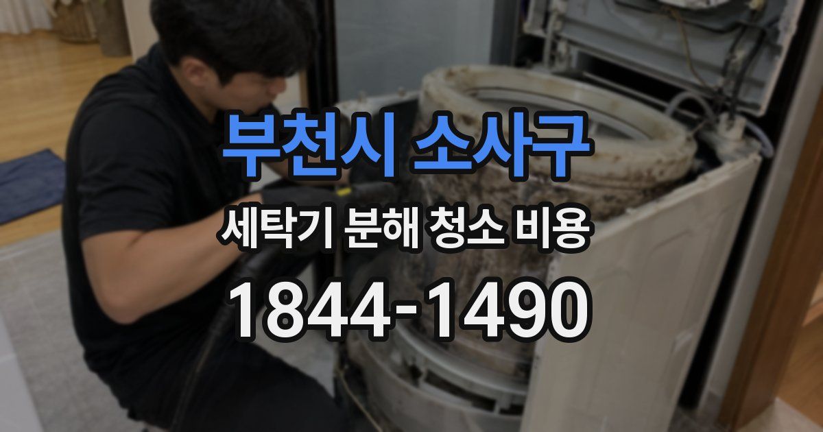 부천시 소사구 세탁기 분해 청소 비용