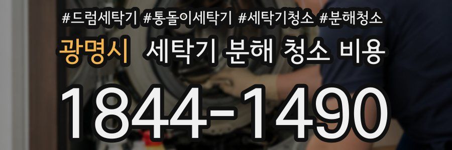 광명시 세탁기 분해 청소 비용