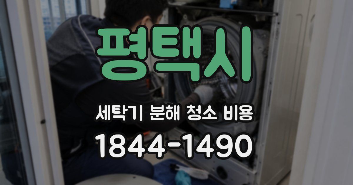 평택시 세탁기 분해 청소 비용