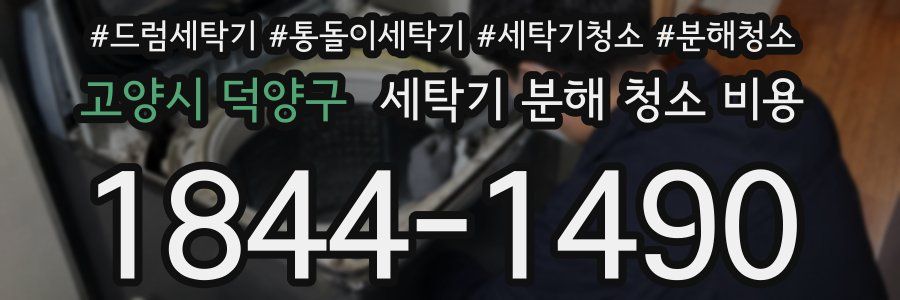 고양시 덕양구 세탁기 분해 청소 비용