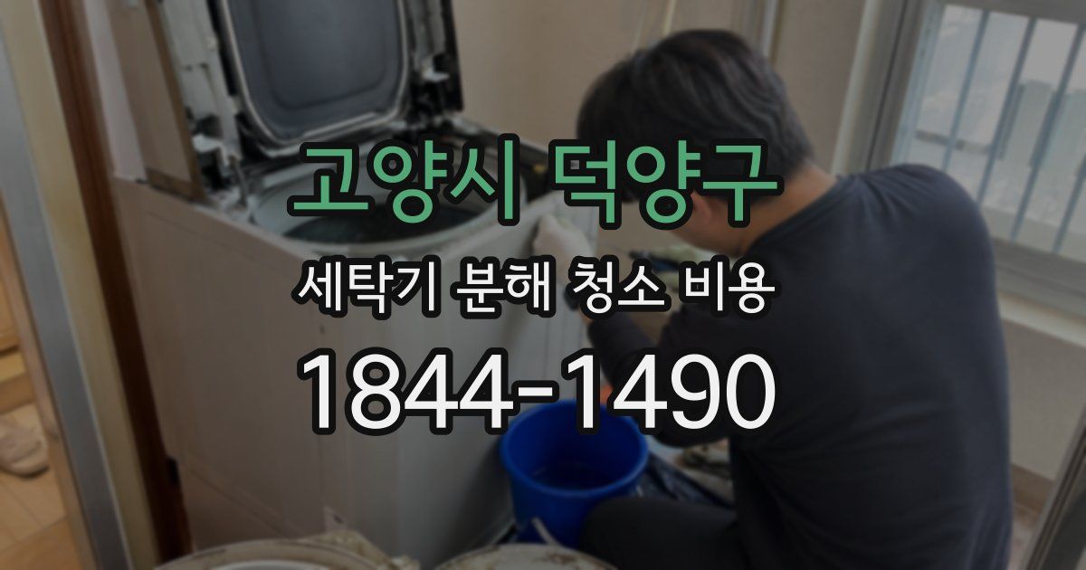 고양시 덕양구 세탁기 분해 청소 비용
