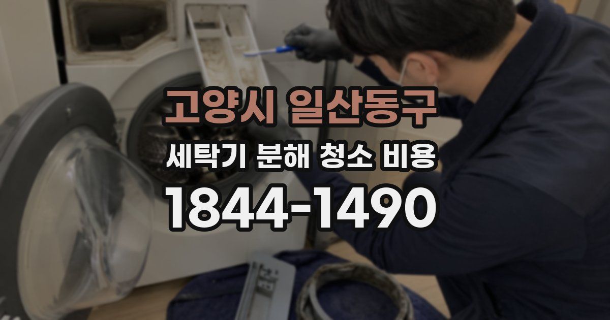 고양시 일산동구 세탁기 분해 청소 비용