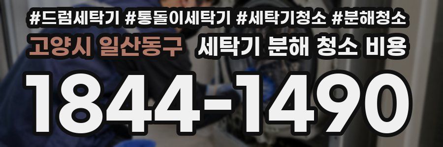 고양시 일산동구 세탁기 분해 청소 비용