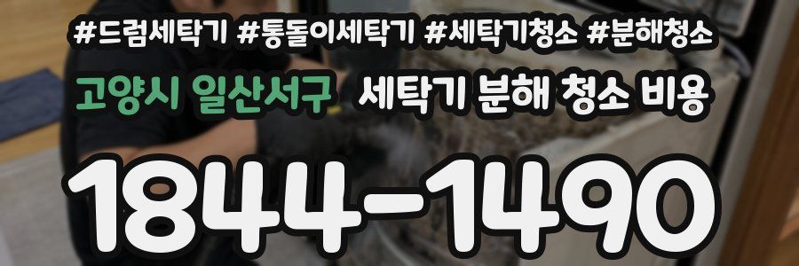 고양시 일산서구 세탁기 분해 청소 비용