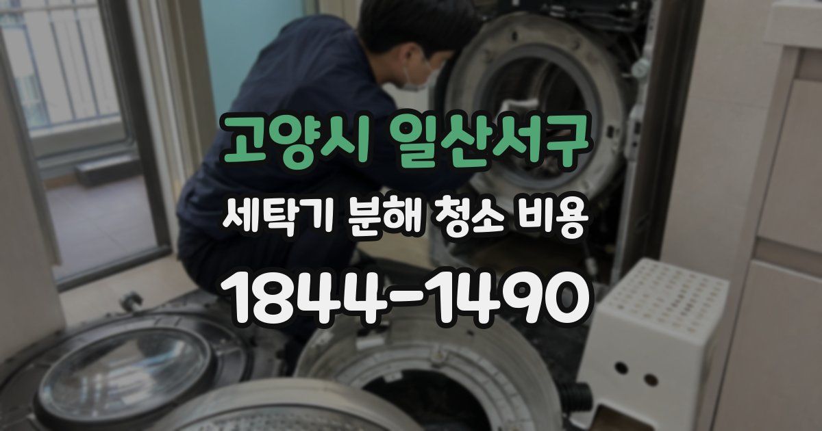 고양시 일산서구 세탁기 분해 청소 비용