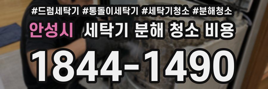 안성시 세탁기 분해 청소 비용