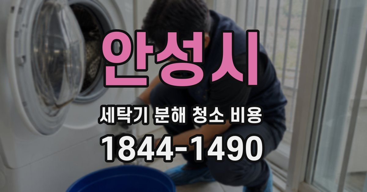 안성시 세탁기 분해 청소 비용