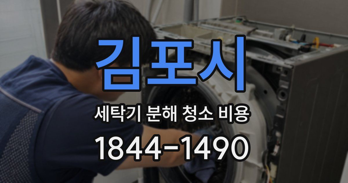 김포시 세탁기 분해 청소 비용