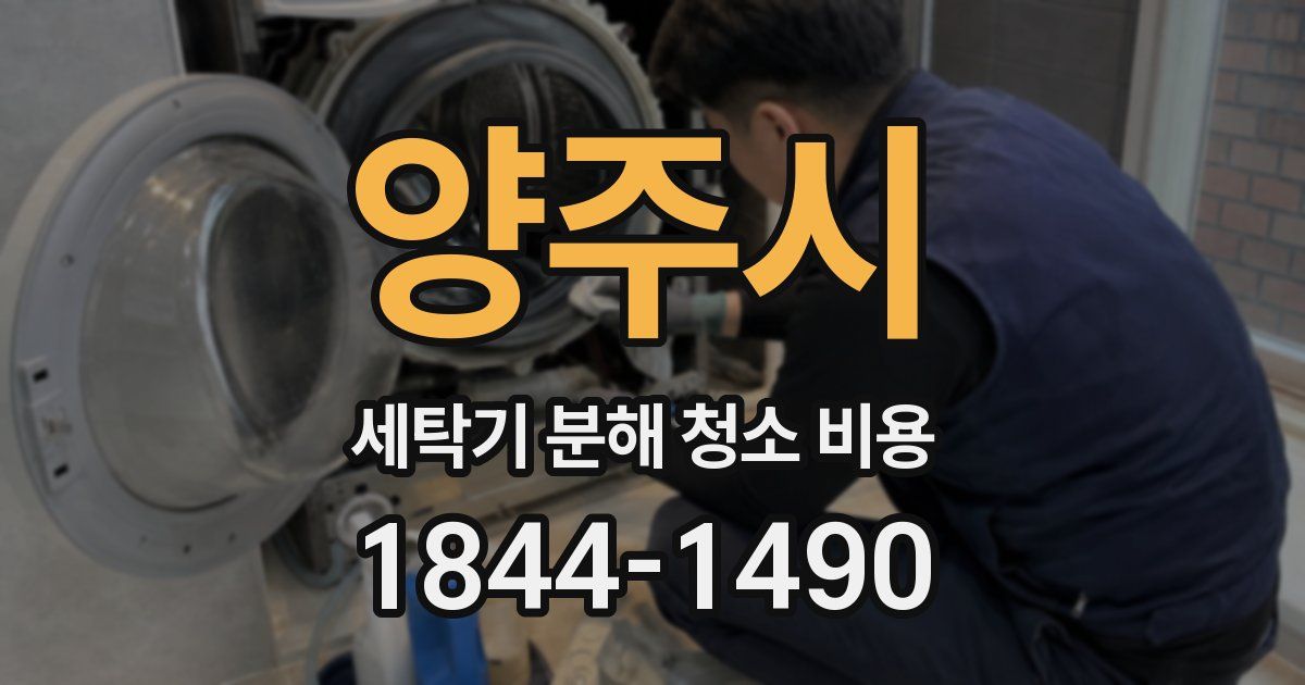 양주시 세탁기 분해 청소 비용
