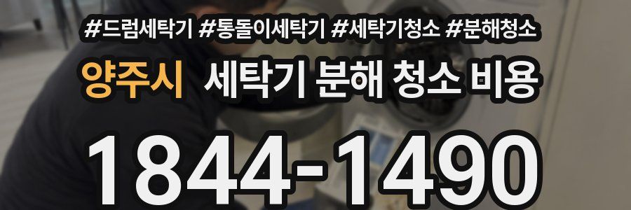 양주시 세탁기 분해 청소 비용