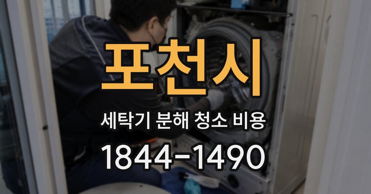 포천시 세탁기 분해 청소 비용