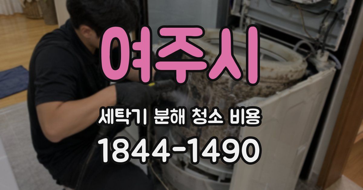 여주시 세탁기 분해 청소 비용