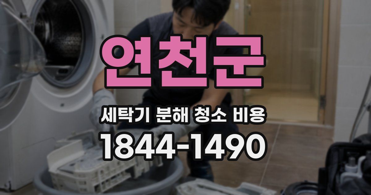 연천군 세탁기 분해 청소 비용