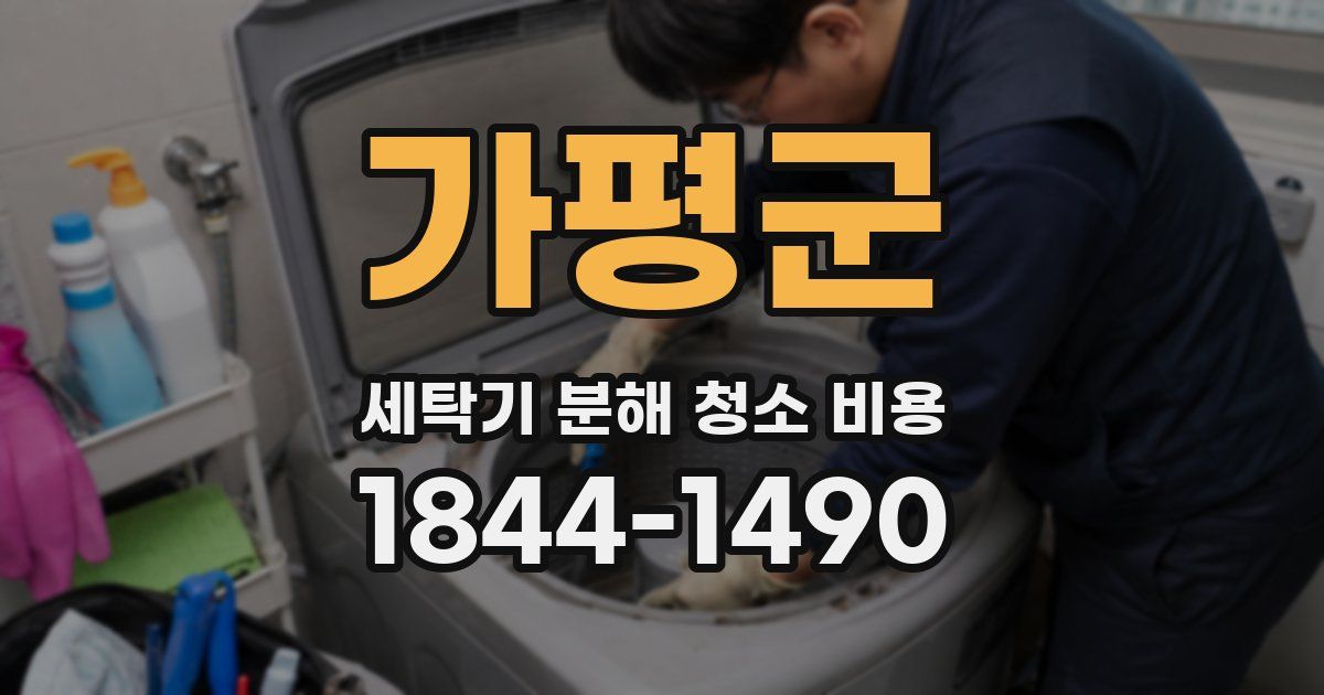 가평군 세탁기 분해 청소 비용