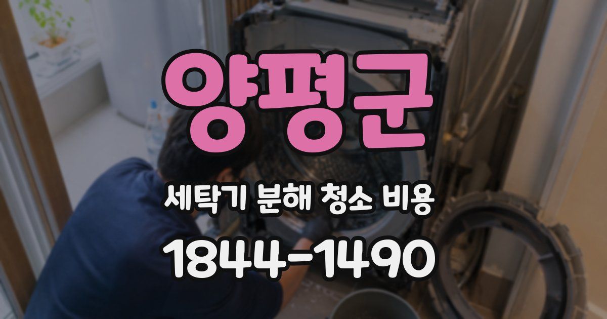 양평군 세탁기 분해 청소 비용