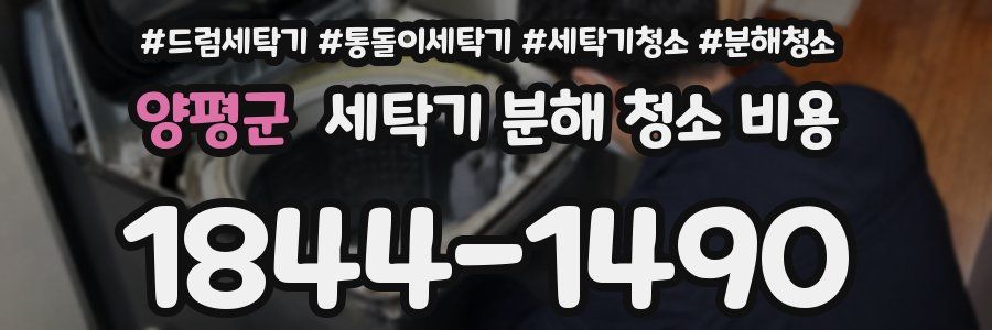 양평군 세탁기 분해 청소 비용