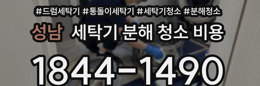 성남 세탁기 분해 청소 비용