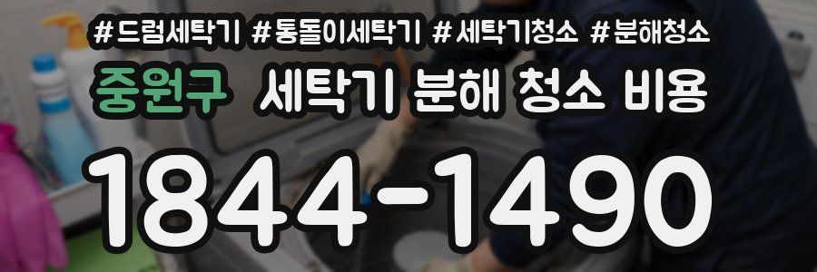중원구 세탁기 분해 청소 비용