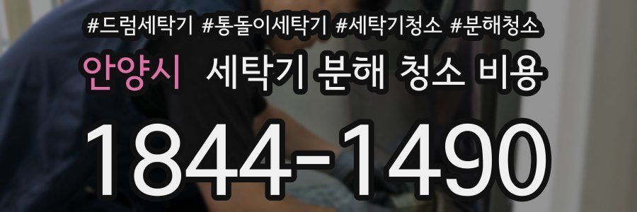 안양시 세탁기 분해 청소 비용